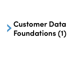 Customer Data Foundations (1)